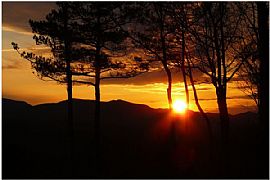 North Georgia Vacation Cabin Rentals in Blue Ridge, GA (Photo 2 of 6)