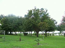 lakefront home on 5 acres 4/3 and 3 car in Groveland, FL (Photo 6 of 6)