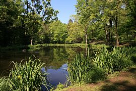 Guest House on 100 Acre Property in Ottsville, PA (Photo 5 of 6)