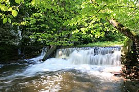 Guest House on 100 Acre Property in Ottsville, PA (Photo 6 of 6)