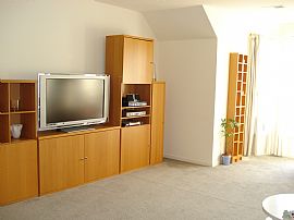  New Fully Furnished Waterfront Condo in Harrison, NJ (Photo 5 of 6)