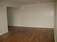 All new apt, pet friendly, near subway in Jamaica, NY (Photo 3 of 3)