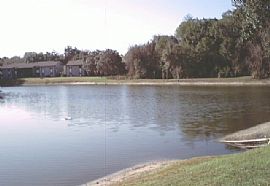 Condo at Baywood Meadows, FL for rent!! in New Port Richey, FL (Photo 4 of 6)