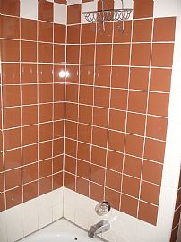 TREMONT 1 br up 600 sq ft hdwd, ceramic in Cleveland, OH (Photo 5 of 6)