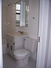 1 BEDROOM APT- LINCOLN PARK- in Lincoln Park, IL (Photo 4 of 4)