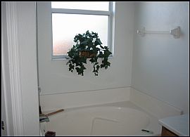 Beautiful Home in Rockledge for Rent in Rockledge, FL (Photo 4 of 5)