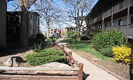 3 beds/2 baths, HEAT INCLUDED!! in Denver, CO (Photo 4 of 5)