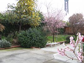 Desirable Single Family Rambler in Livermore, CA (Photo 6 of 6)