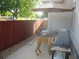 Beautiful 4 Bdr 3 Bath Home Lease or Buy in Denver, CO (Photo 5 of 5)