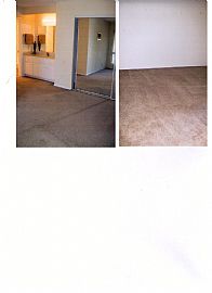 Bright and Spacious Apt Ready to Move In in Oceanside, CA (Photo 5 of 6)
