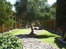 Zona Village Apartment Homes in Tucson, AZ (Photo 2 of 6)