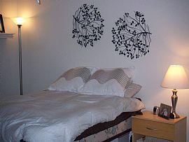 Furnished condo available January 15 in High Point, NC (Photo 4 of 5)