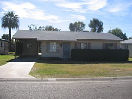 Arcadia Charmer Available Jan. 13th 2009 in Phoenix, AZ