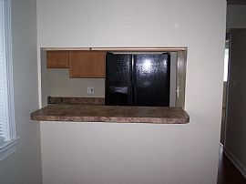 SPRING ON IN!  in Washington, DC (Photo 1 of 4)