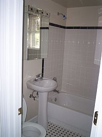 SPRING ON IN!  in Washington, DC (Photo 2 of 4)