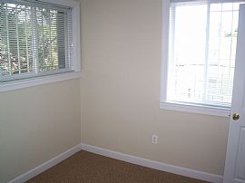 SPRING ON IN!  in Washington, DC (Photo 3 of 4)