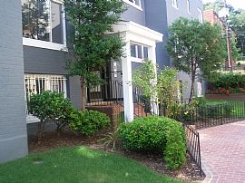 SPRING ON IN!  in Washington, DC