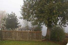 Live on Water. Luxurious 3 bd, 1.5 bath in Auburn, WA (Photo 2 of 6)