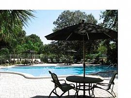 The Abbey at Forest Lakes: The Lagoon  in Oldsmar, FL (Photo 3 of 5)