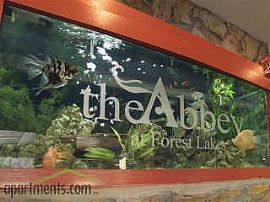 The Abbey at Forest Lakes: The Gulf  in Oldsmar, FL