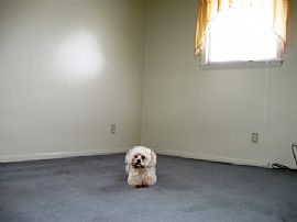 Amazing 3 Bedroom Red Brick Home in Flint, MI (Photo 5 of 6)