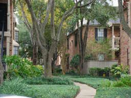 Beautiful One BR near Baylor University in Houston, TX