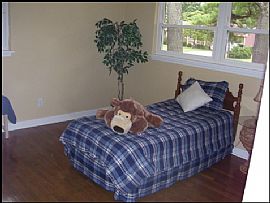 Rent-to-Own! Amazing redone brick ranch, in Virginia Beach, VA (Photo 6 of 6)