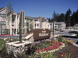 Avalon WildReed in Everett, WA