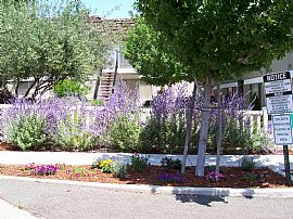 1/2 Off First Month's Rent -1 Bedroom in Benicia, CA (Photo 5 of 6)