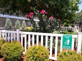 1/2 Off First Month's Rent -3 Bedroom in Benicia, CA (Photo 5 of 6)