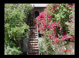 Beautiful Forrest Property 1mo rent free in Phoenix, AZ (Photo 1 of 3)