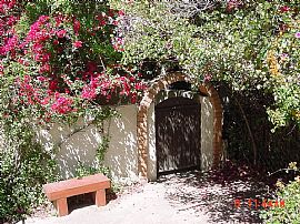 Beautiful Forrest Property 1mo rent free in Phoenix, AZ