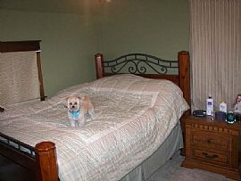 2/3 bedrrom house in Oxford 1/2 off 1st  in Oxford, MI (Photo 4 of 6)