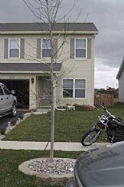 Beautiful home with all the upgrades in Romeoville, IL