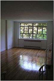 EQUISITE APARTMENT w/Balcony-NO FEE!! in Forest Hills, NY (Photo 4 of 5)