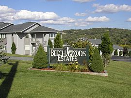 Vacation Living Year Round in Callicoon, NY