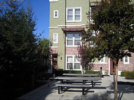 Lovely Condo in Downtown Hayward in Hayward, CA (Photo 3 of 6)