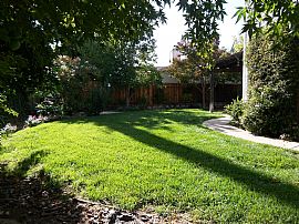 Avalible Now Month to month!!!! in Folsom, CA (Photo 3 of 4)