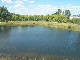Beautiful Waterfront Townhome in McHenry, IL (Photo 3 of 6)