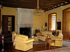 Renaissance castle for rent in Loire Val in Charlottesvle, VA (Photo 6 of 6)