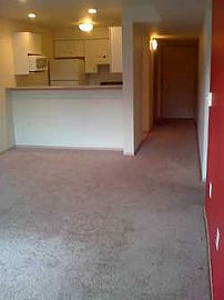 Beautiful 1bed in Pet Friendly Building in Wallingford, WA (Photo 3 of 5)