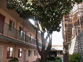 Nice Apartment, Walk to BART!! in Richmond, CA