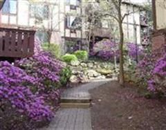 Beautiful Condo - Spacious and Updated in Norwalk, CT (Photo 5 of 6)