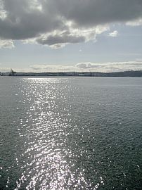 Amazing move in special! in West Seattle, WA (Photo 4 of 4)