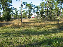  4/3 ON TWO ACRES in Loxahatchee, FL (Photo 4 of 4)