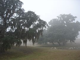 Beautiful Townhome - Negotiable Rent in Ocala, FL (Photo 2 of 4)