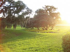 Beautiful Townhome - Negotiable Rent in Ocala, FL (Photo 4 of 4)