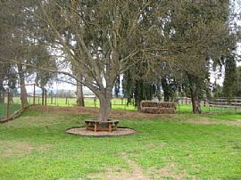 Country house in Davis in Davis, CA (Photo 2 of 3)
