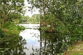 Lakefront Home for Rent in Orlando, FL (Photo 6 of 6)