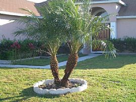 4/2 Single Family HomePool Hot Tub Fence in Saint Cloud, FL (Photo 2 of 6)